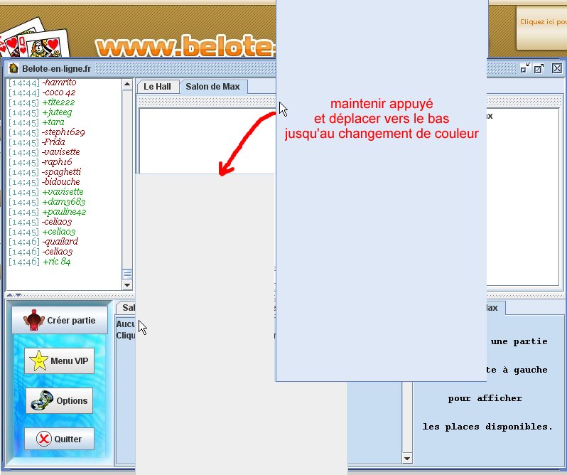 http://www.belote-en-ligne.fr/archives/divers/aide_detacher_chats/2.jpg