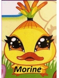morine
